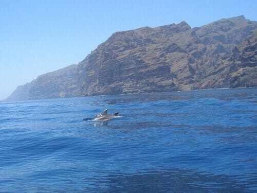 El Paraiso En Los Gigantes サンティアゴ・デル・テイデ エクステリア 写真