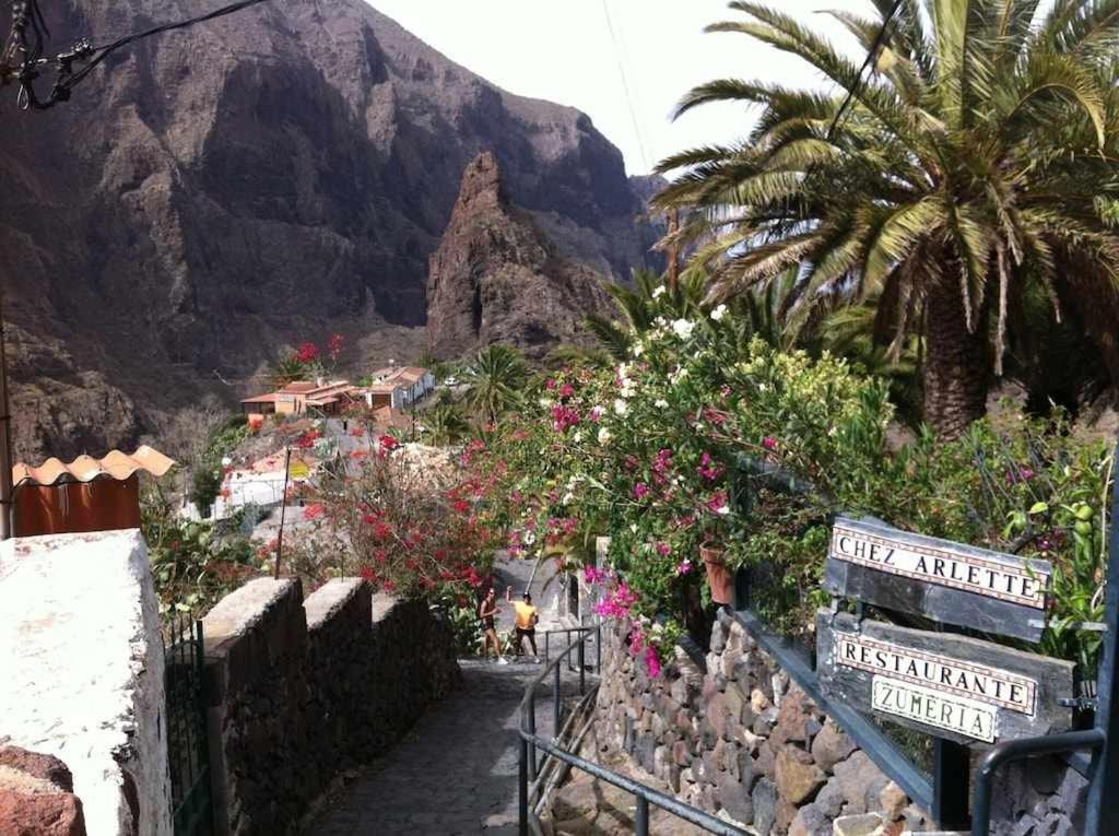 El Paraiso En Los Gigantes サンティアゴ・デル・テイデ エクステリア 写真